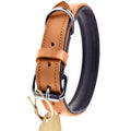 Reflective Comfort Collar