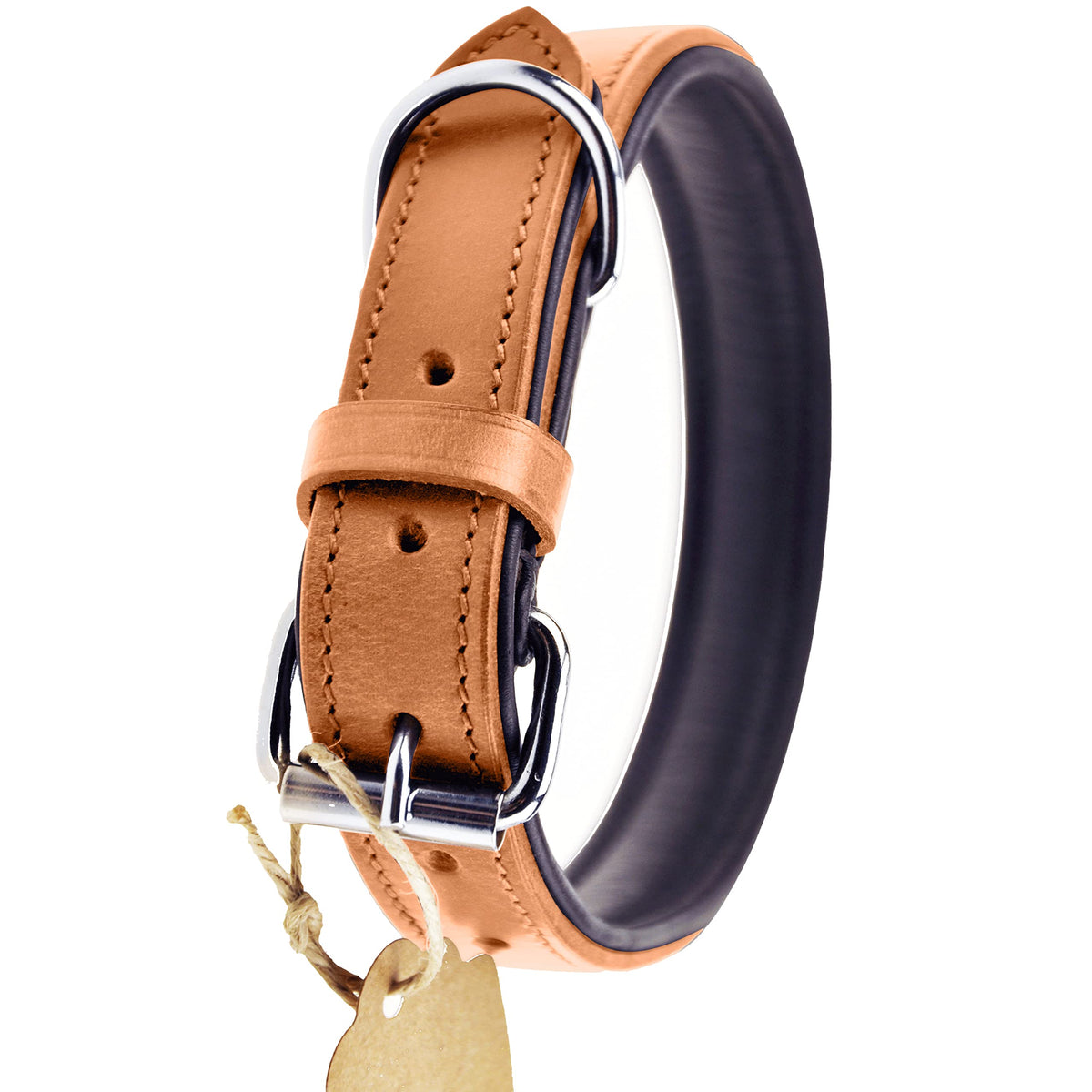 Reflective Comfort Collar