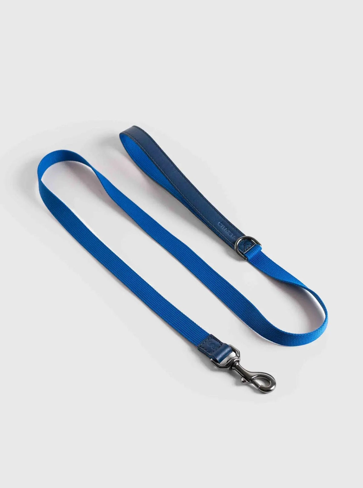Everyday Paws Leash
