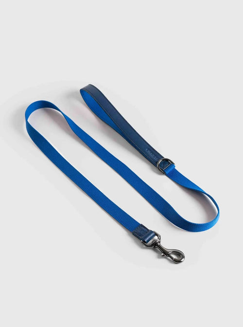 Everyday Paws Leash